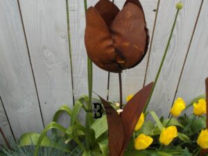 Bolle tulp 120 cm op tuinsteker ecoroest/decoroest